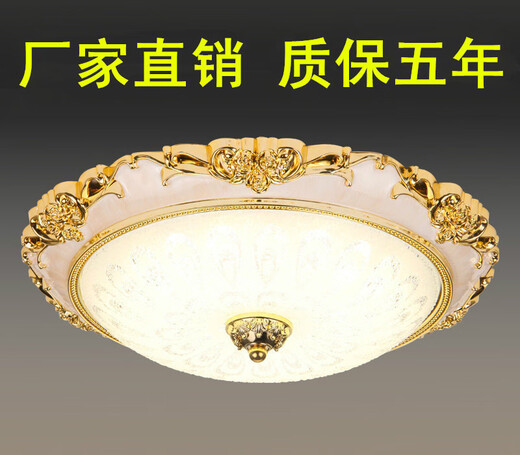 别墅大门口灯户外吸顶灯自建房大门口顶灯大门上的门灯LED欧式卧室灯简约现代客厅灯走廊过道灯阳台灯具 金30cm｜白光｜15w