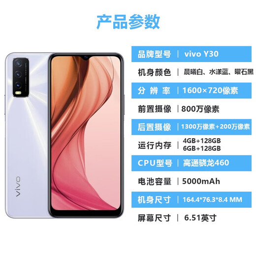 【白条免息】vivo Y30 5000mAh大电池强续航 后置AI智慧三摄拍照 美颜游戏 二手手机 曜石黑 4GB+128GB 9成新