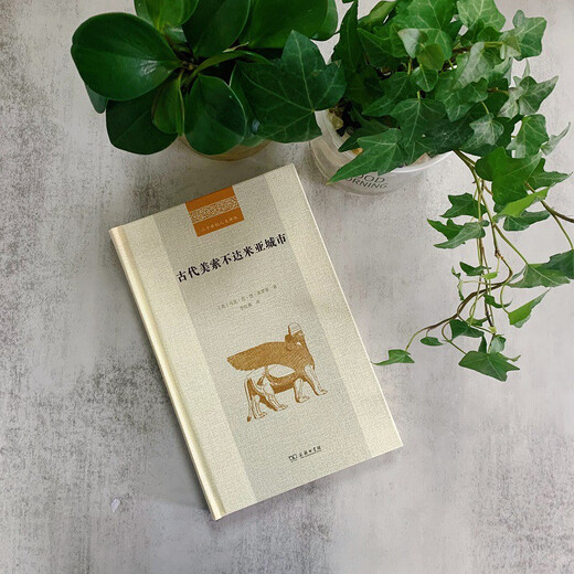 Ancient Mesopotamian Cities (20th Century Humanities Translation Series)