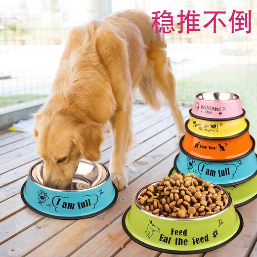 OIMG Stainless Steel Dog Bowl Golden Retriever Teddy Dog Bowl Cat Dog Food Bowl Labrador Anti-Slip Drinking Bowl Dog Food Bowl Green (Random Pattern)