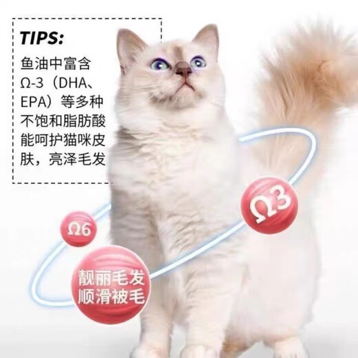 Paide Energy Paide cat food 10 Jin Jin is equal to 0.5 kg 20 Jin Jin is equal to 0.5 kg Packed with fattening gill fish meat flavor 5kg adult cats and kittens American shorthair 1 can Nutritious gourmet cat food + chicken freeze-dried 10kg