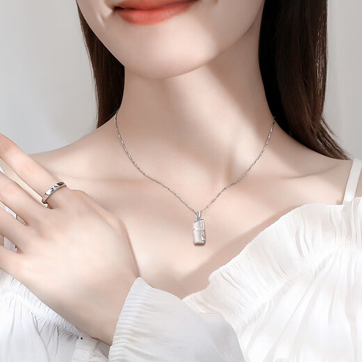 Fanzheshi PT950 platinum necklace for women, light luxury design bamboo pendant Christmas gift for girlfriend, noble platinum version, I have you, bamboo pendant necklace