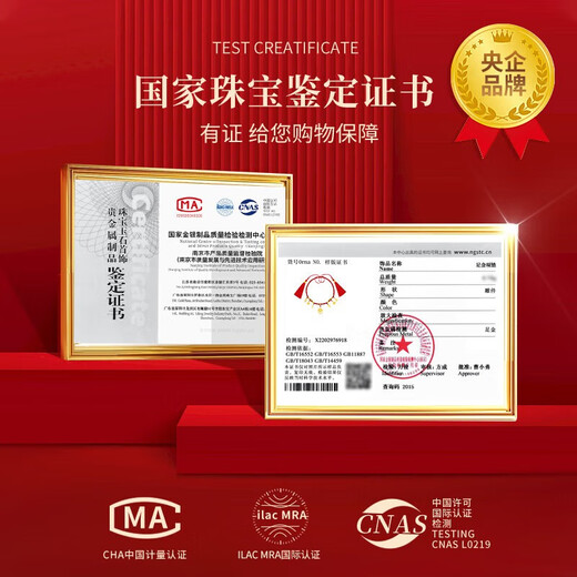 中国黄金（CHINA GOLD）宝宝黄金项链五宝金勺项圈新生婴儿满月平安长命小孩儿童生日礼物 升级款-足金平安锁金项链/京速达