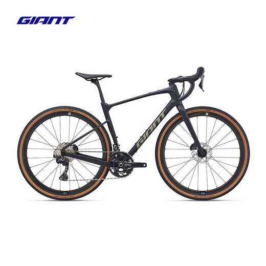 捷安特（GIANT）Revolt ADV 0碳纤维24速油碟砾石弯把公路自行车 亮绿色700C×450MMS建议身高1591 700C24速