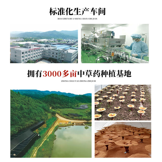 元生泰灵芝孢子油软胶囊赤灵芝孢子粉精华营养保健滋补礼品高三萜46.9g 8粒/盒(体验装)