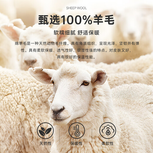 Raidy Boer/雷迪波尔【100%绵羊毛】商务休闲格纹大衣外套男 7015 灰格 165/46/S