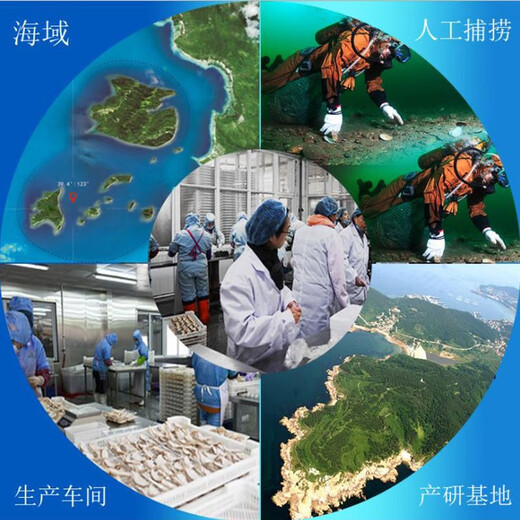舟山海鲜礼盒中秋海鲜大礼包新鲜冷冻春节过年货送礼海鲜 精选海鲜礼盒698型10斤