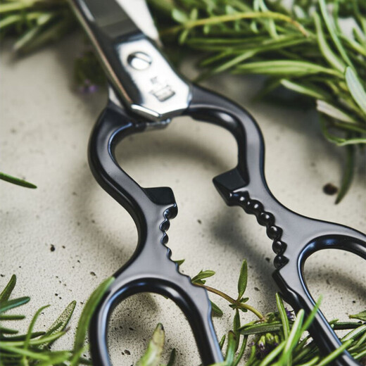 双立人（ZWILLING）德国进口剪刀不锈钢厨房剪刀德国生产鸡骨家禽剪刀葫芦剪刀 黑色43927-200