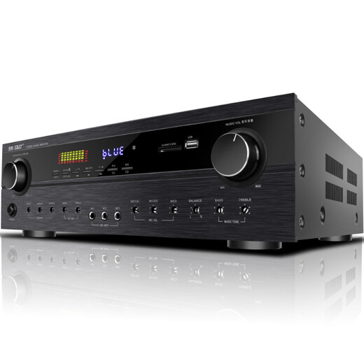 先科(SAST)DT-9000功放机家用大功率定阻KTV重低音卡拉OK会议演出专业发烧级HIFI功放专业功放 1600W旗舰版+双话筒