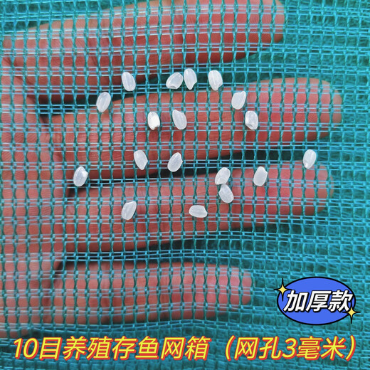 Fish farming cages, fish storage cages, bullfrog and eel fry cages, thickened cages, custom-made fishing nets, aquaculture cages, 10 mesh (3 mm mesh) stamped version, 1 meter long - 1 meter wide - 1 meter high