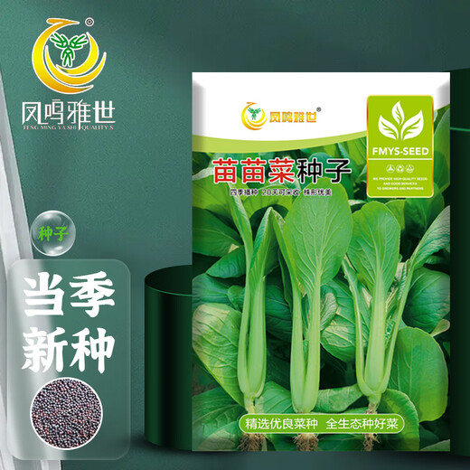 Fengming Yashi Miao vegetable seeds 10g four-season vegetable seeds balcony potted field planting farm seeds