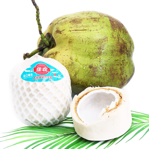 Good Farmer Green Coconut Water Imported from Thailand (JD Delivery to Many Places Next Day) Perfume Coconut Fruit for Pregnant Women 4 Green Coconuts Imported from Thailand Single Fruit About 900g