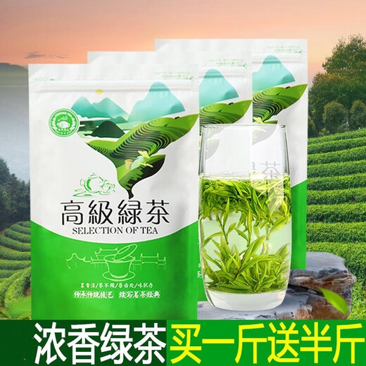 Ganxiangpo New Tea, Alpine Cloud Mist Green Tea, Spring Tea Before the Rain, Strong Fragrance, Durable to Brewing, Sufficient Sunshine, Maojian Green Tea 125g, 500g, 500g Bag, Free Half Jin Jin of the same style, equal to 0.5 kg