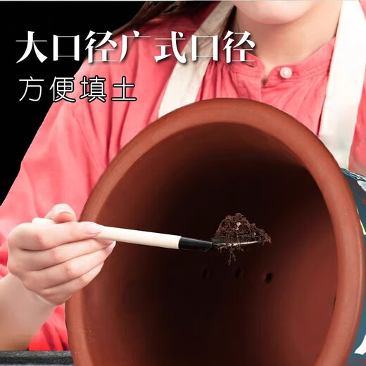 麦桑荷紫砂大花盆兰花盆陶盆大口径种树陶瓷紫沙盆盆景盆陶瓷绿萝花盆 两个695大中直径30.5+26.5cm