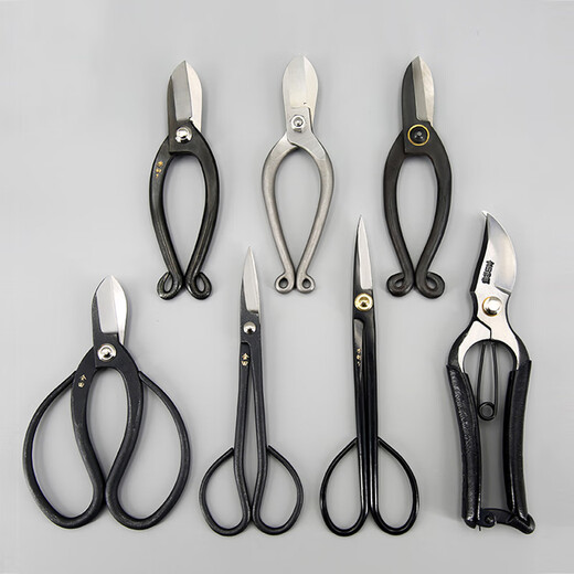 Chifang cisailles ciseaux à fleurs chinois de style japonais fleuriste ciseaux à arrangement floral en acier composite outils ciseaux de jardinage domestique sécateur lettrage Kaneda cisailles à cuir originales 200mm nouveau style