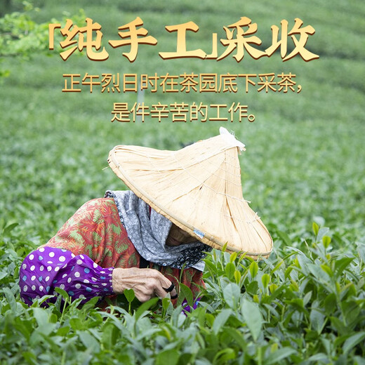 薪傳香大禹岭梨山高山乌龙茶叶中秋节送礼礼盒台湾原产300g 大禹岭2200海拔 150g*2盒
