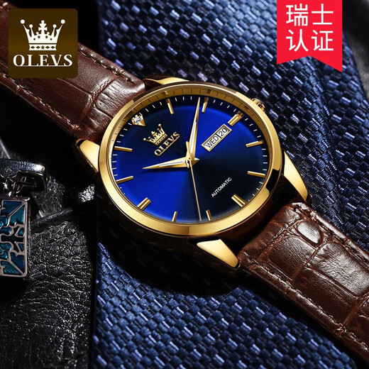 Olevs Swiss Certified Brand Watch Mechanical Uhr
