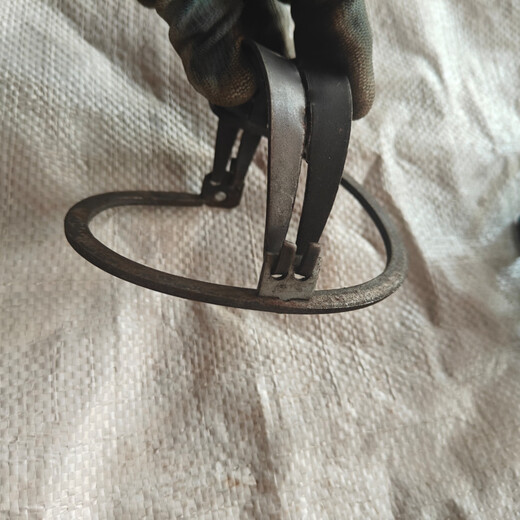 Guangxi guy. Outdoor spring tooth round new iron clip 5 pieces (send rope) 12 cm diameter (5 pieces) with plate