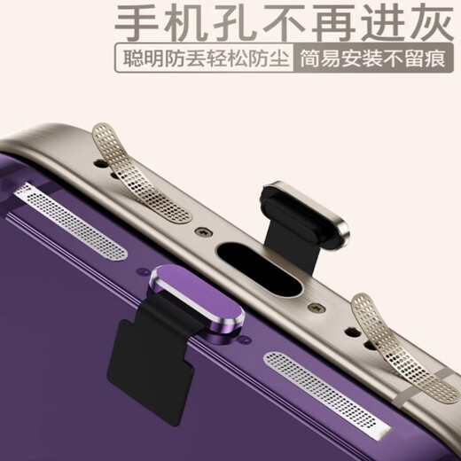 Tongrubi Apple 16ProMax mobile phone charging port dustproof plug iPhone15 speaker hole dustproof net speaker dustproof sticker metal anti-lost plug gold universal 6-14 full series 2 pack