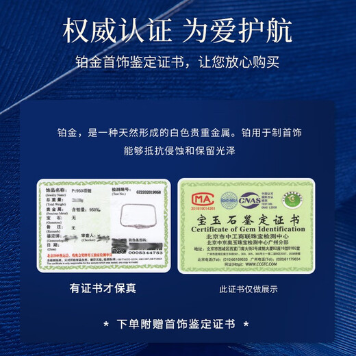 Falinro platinum necklace for women, ruby pendant, Heart of the Ocean, light luxury jewelry, Chinese Valentine's Day gift for girlfriend and wife, platinum O-shaped chain + garnet pendant, engraving