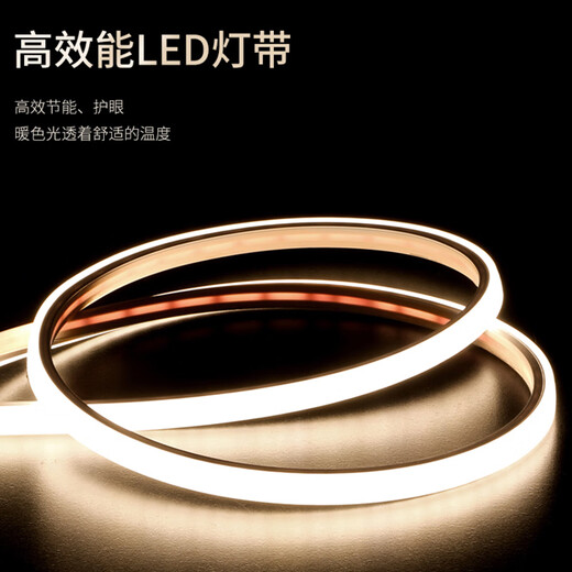 蓝迪莺现代轻奢九鱼图玄关装饰画钟表挂钟客厅走廊过道挂画创意时钟壁灯 SXS3524 50*100cm竖款+钢化膜镜面