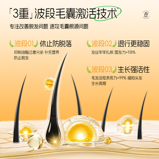 Deliston anti-hair loss shampoo, ginger king, hair growth, anti-hair loss, oil control, fluffy herbal hair-fixing and long-hair growth