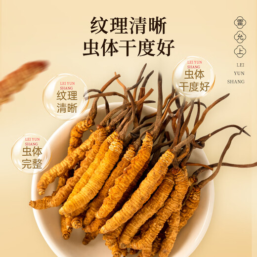 Lei Yunshang [Oficial] Cordyceps Sinensis Caja de regalo de alta gama Suplementos de alta gama para cajas de regalo para ancianos y padres [Cordyceps para amigos, Remains de amistad] 5 piezas/g 10g aproximadamente 50 piezas