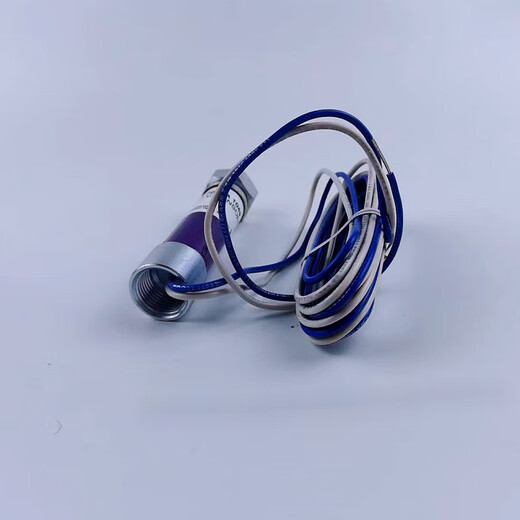 火焰探测器c7027a1049燃烧机霍尼韦尔电眼检c70271023c7035a1064 国产(BC1000+C7027A1049)