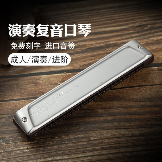 德国进口音簧24孔口琴专业演奏级成人高级孔声重音复音CAFG调 C调【常用调】