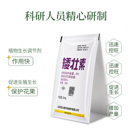 Dwarf dwarf narcissus flower dwarf dwarf dwarf dwarf dwarf dwarf dwarf dwarf dwarf dwarf dwarf dwarf dwarf dwarf dwarf dwarf dwarf dwarf dwarf dwarf dwarf dwarf dwarf dwarf dwarf dwarf dwarf dwarf dwarf dwarf dwarf dwarf dwarf dwarf dwarf dwarf dwarf dwarf dwarf dwarf dwarf dwarf agent 500ml