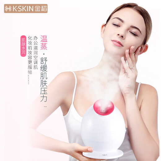 Jindao Facial Steamer Beauty Instrument Facial Spray Hydrating Instrument Steamer Humidifier Hot Spray Facial Steamer Q Version Portable Mask Partner KD233 Birthday Gift New Year Gift
