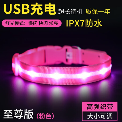 Chukchi (CHUKCHI) dog luminous collar USB charging pet luminous circle leash dog leash anti-lost dog walking collar golden retriever waterproof supreme version orange collar M-recommended neck circumference within 36-49CM