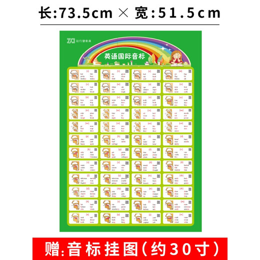 International Phonetic Symbol English Tutorial Exercise Book, a complete set of training books on natural and phonics learning rules, word memorization, self-study of pronunciation basics, introductory listening and speaking, primary school English phonetic symbols, elementary phonics and pronunciation textbooks for junior middle school adults