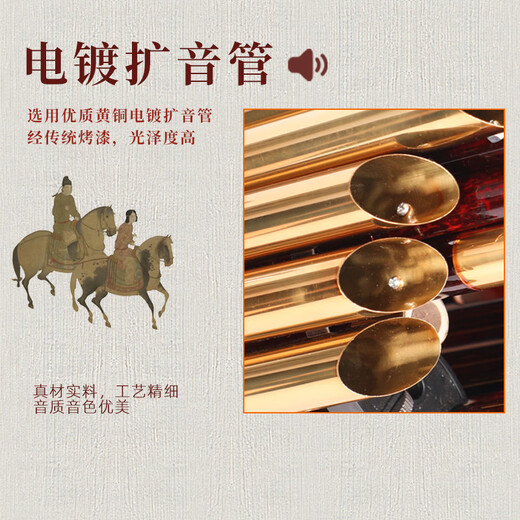 宏艺凤鸣宏艺凤鸣笙乐器14簧17簧21簧初学专业扩音紫竹圆方笙厂家直销演奏 17簧D调扩音管（紫竹+白管+箍）