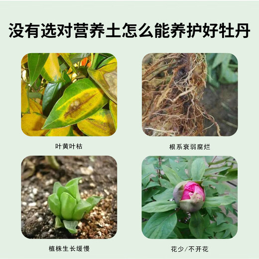 Devodoro peony special nutrient soil 15L gardening green plant potted flower soil organic flower organic planting flower fertilizer soil