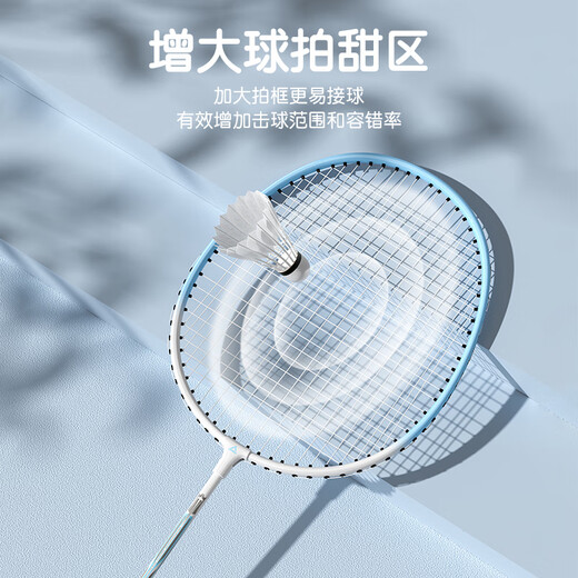 匹克 羽毛球拍对拍耐打成人学生套装训练比赛拍金铠甲 歌鸲蓝/紫色