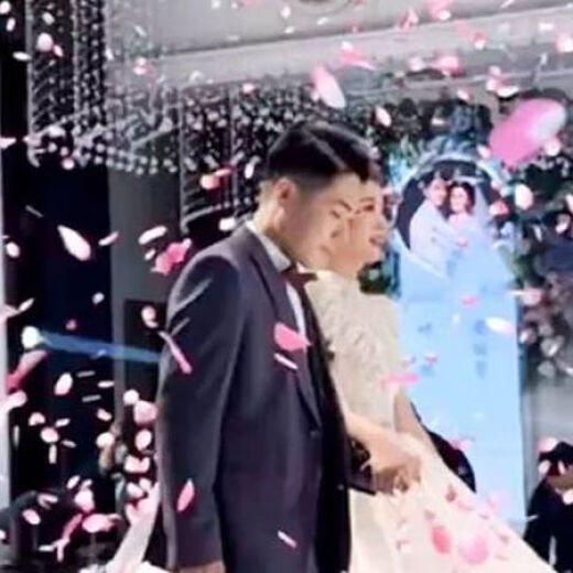 【婚礼爆款8000片】礼花结婚花瓣雨结婚礼炮喷花筒手持彩炮礼花筒 55cm【粉色玫瑰】花瓣 【1根】