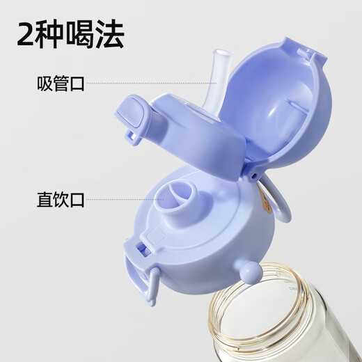 贝肽斯儿童水杯ppsu防摔吸管杯幼儿园宝宝喝水直饮杯户外出行儿童水壶 【儿童水杯】泰蓝贝棉 （赠送背带+吸管刷）