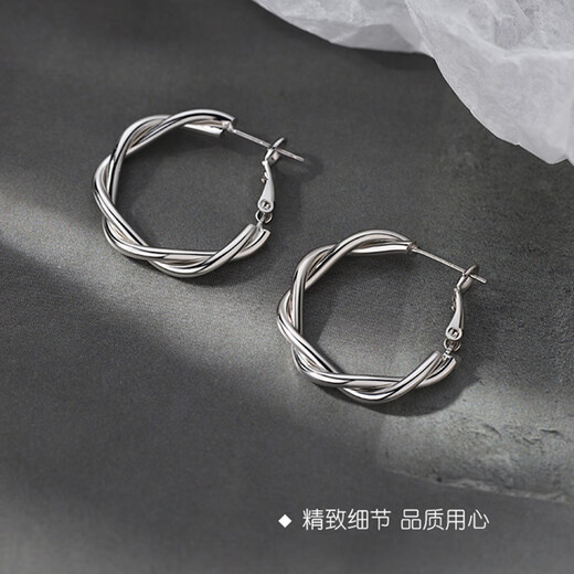 Bai Qixin earrings for women, exquisite twist earrings, earrings for women, light luxury, high-end, simple and versatile metal hoop earrings, a pair of twist earrings
