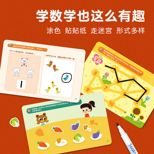 莎林SAALIN儿童进阶数学启蒙逻辑思维训练玩具幼儿数字控笔描红练习卡