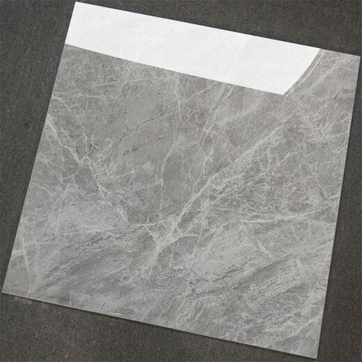 XMSJ谛欧诺 DIONO广东佛山瓷砖批发地板砖800x800防滑地砖60x60卫生间 通体6628 800X800