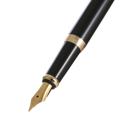 毕加索（pimio）钢笔礼盒墨水套装签字用笔双笔尖0.5mm0.38mm成人学生书法练字笔T717亮黑金夹