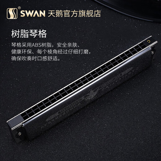 Swan (SWAN) polyphonic harmonica 24-hole beginners advanced adult professional playing instruments season gift Twilight
