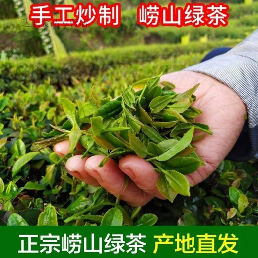 Hongyun Qingdao Specialty Laoshan-Green Tea Gift Box First-Class New Tea Pea Fragrant Maojian Green Tea Gift Box Yinshan Half Jin Jin equal to 0.5 kg (matching handbag + teaspoon)