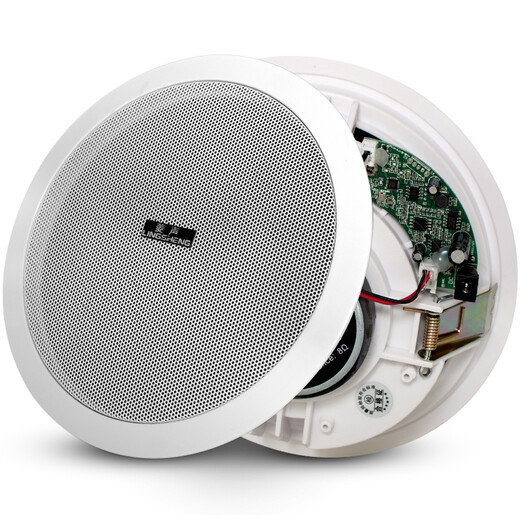 Lingheng Wireless Bluetooth-Verstärker aktiver Deckenlautsprecher Wandmontage Audio Audo Outdoor wasserdichte Sound Lautsprecher Set Einkaufszentrum Restaurant Supermarkt Hintergrund Musik Broadcast System Wireless Sender Host + 2 My-ls601 Wireless Decke