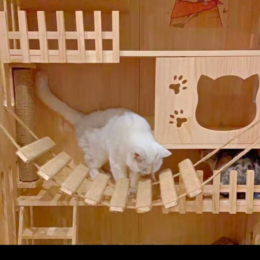 宠宝它猫爬架 蹬天梯 猫爬绳梯 桥梯两用可架空连接跳台 磨爪神器 豪华款剑麻软梯/适合衣柜或架空 1.5米