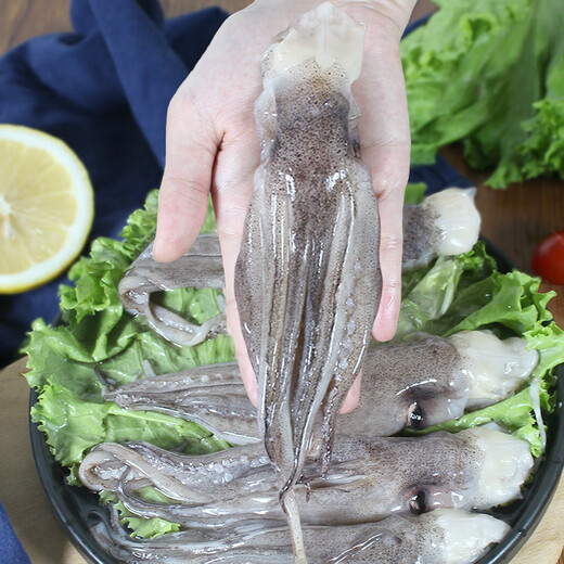 Freshly frozen squid heads and squid tentacles 400g 5-7 pieces Teppanyaki squid barbecue hot pot ingredients soft foot gift