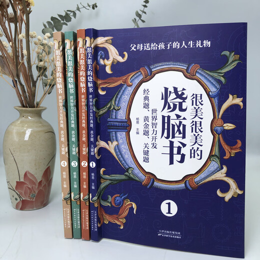 【京仓速发 明日达】很美很美的烧脑书全4册 世界智力开发经典题7-12岁小学生思维逻辑儿童数学逻辑思维训练开发书14225**9