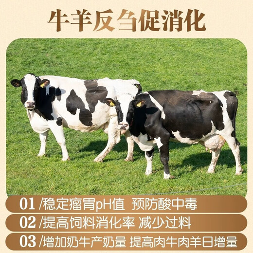 Fubang Angel Ruminant Saccharomyces cerevisiae feed additive, special yeast rumen treasure for cattle and sheep, Newegat F5 500g/bag/F7