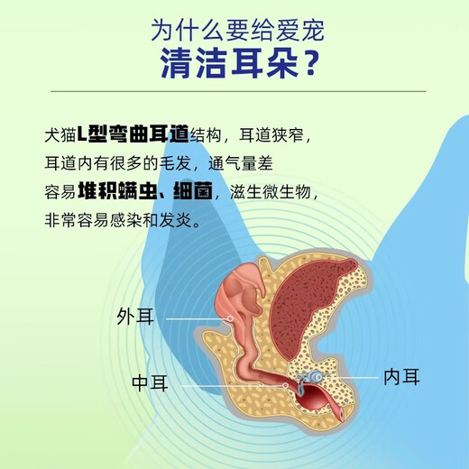 SEEDING SUN SF Express Heshuo D6 Ear Cleansing Liquid Weakly Acidic Pet Dogs and Cats Soothing Ear Canal Control Otitis Package One Bottle of SEEDING SUN + Pavitil Cleansing